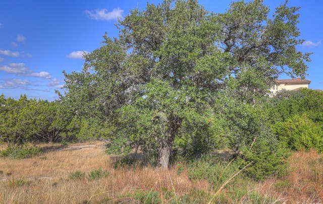 2416  Triple Peak, Canyon Lake, TX 78133 — photo 8
