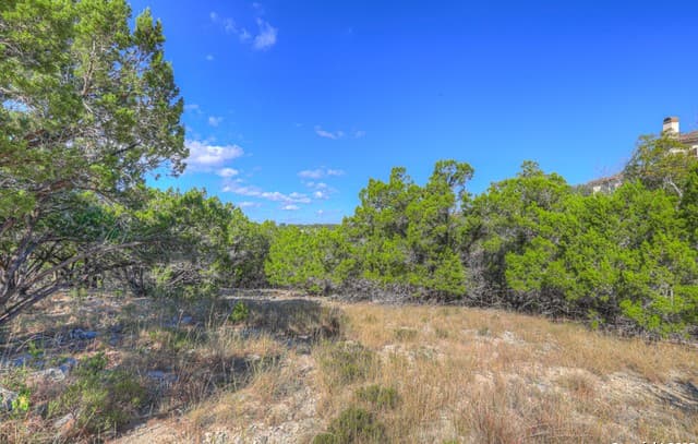 2416  Triple Peak, Canyon Lake, TX 78133 — photo 9