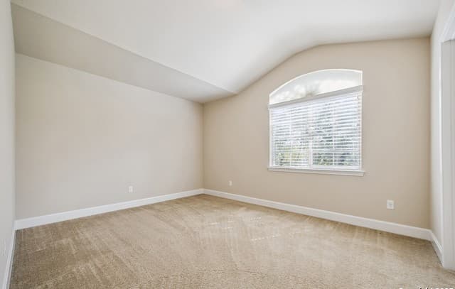 322  Eugene Sasser, San Antonio, TX 78260 — photo 19