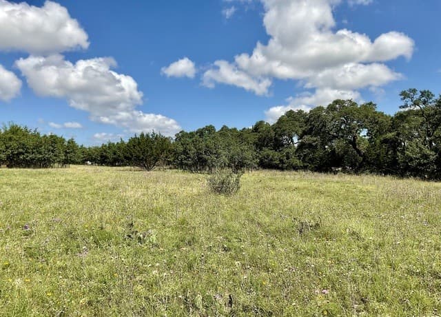 105  Steve Baker, Blanco, TX 78606 — photo 2