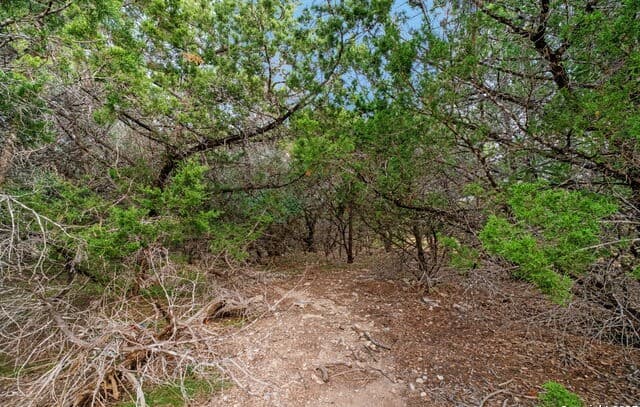 25403  Singing Rain, San Antonio, TX 78260 — photo 14
