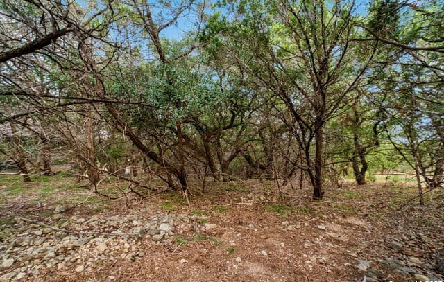 25403  Singing Rain, San Antonio, TX 78260 — photo 15