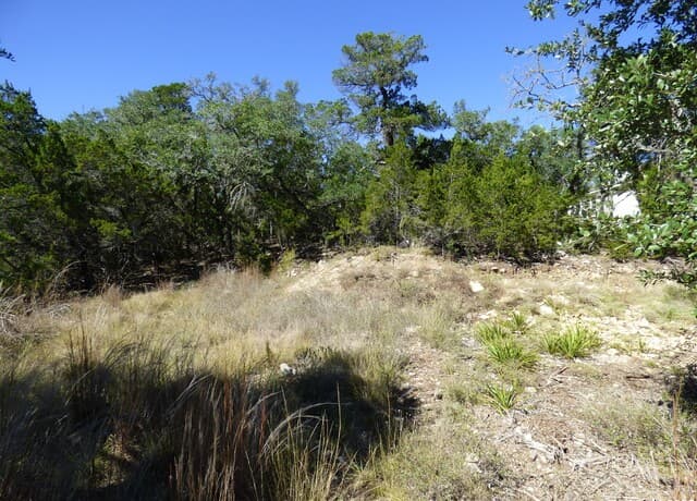 198  Magnolia Meadow, Canyon Lake, TX 78133 — photo 7