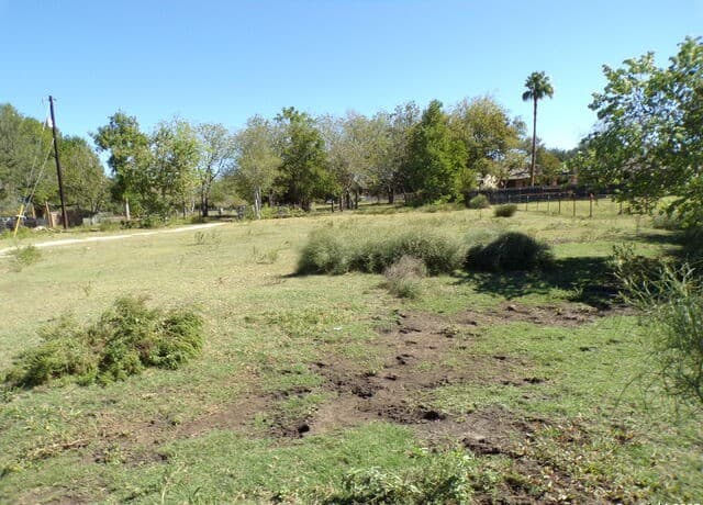 11957  Kearney Rd, Atascosa, TX 78002 — photo 10