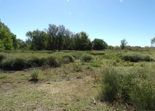 11957  Kearney Rd, Atascosa, TX 78002 — photo 2