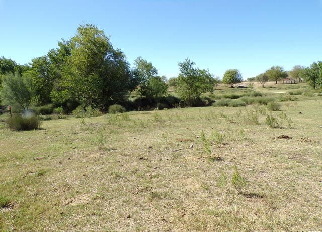 11957  Kearney Rd, Atascosa, TX 78002 — photo 6