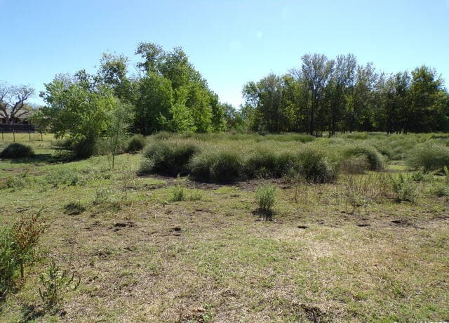 11957  Kearney Rd, Atascosa, TX 78002 — photo 7