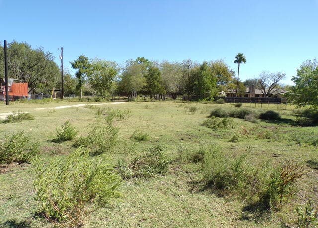 11957  Kearney Rd, Atascosa, TX 78002 — photo 8