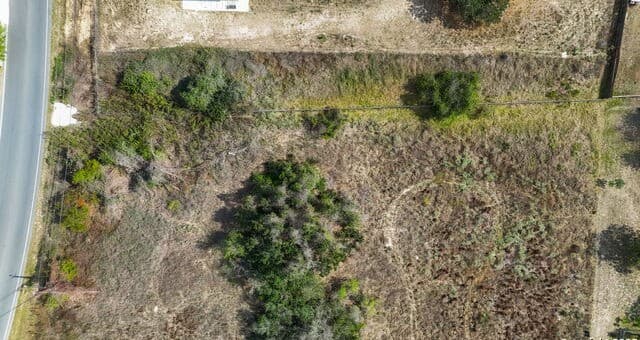 3810  New Mathis, Elmendorf, TX 78112 — photo 10