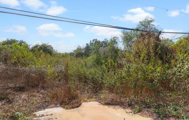 3810  New Mathis, Elmendorf, TX 78112 — photo 13