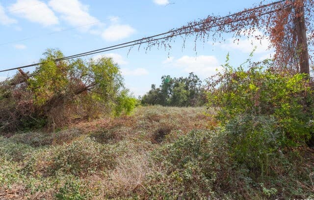 3810  New Mathis, Elmendorf, TX 78112 — photo 15