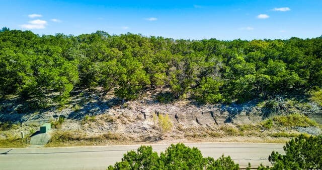 322  Pr 1742, Mico, TX 78056 — photo 10