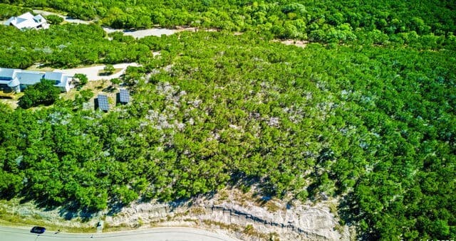 322  Pr 1742, Mico, TX 78056 — photo 4