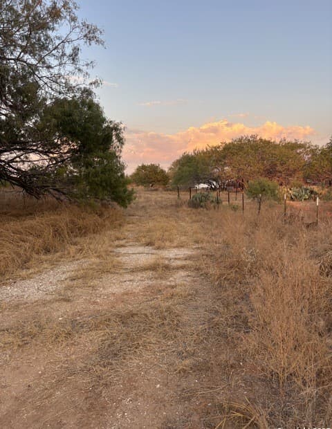 640  County Road 417, McCoy, TX 78113 — photo 2