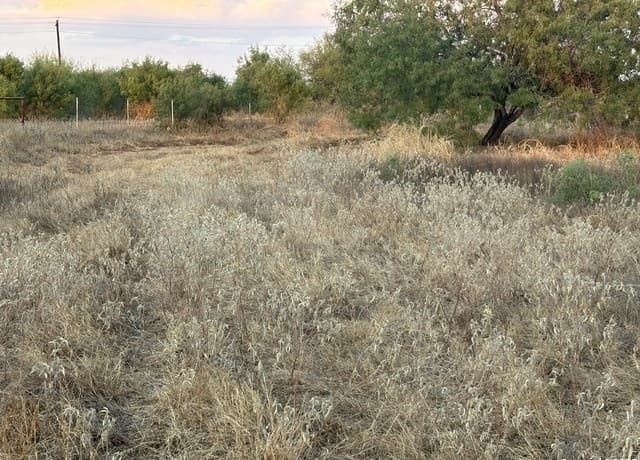 640  County Road 417, McCoy, TX 78113 — photo 4