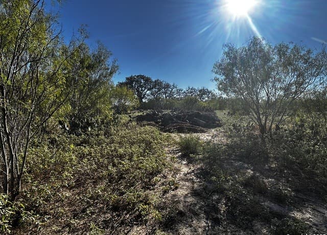 TBD  County Road 777, Devine, TX 78016