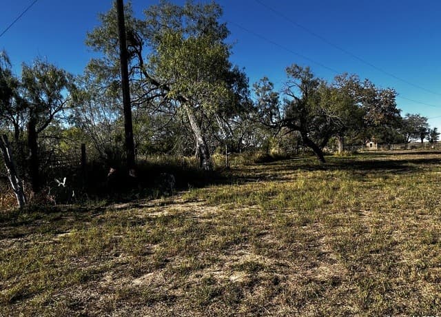 TBD  County Road 777, Devine, TX 78016 — photo 2