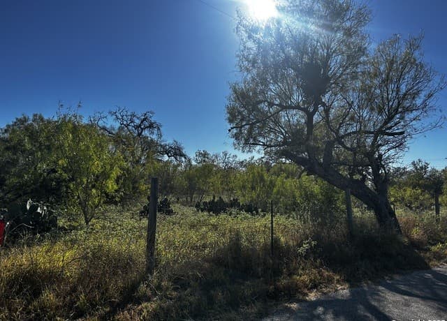 TBD  County Road 777, Devine, TX 78016 — photo 4