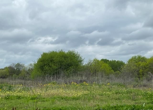 TBD  Pr 6736, Devine, TX 78016 — photo 4