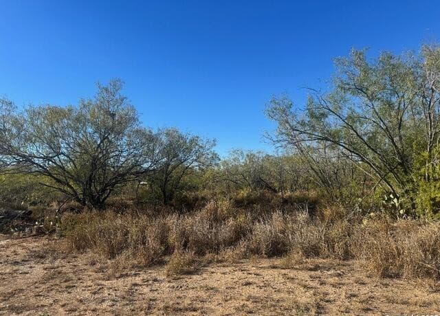 LOTS 2453-2455  Ave. J, Christine, TX 78012 — photo 2