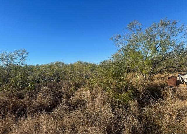 LOTS 2453-2455  Ave. J, Christine, TX 78012 — photo 4