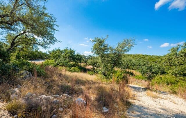 23703  Oakshire, San Antonio, TX 78255 — photo 17