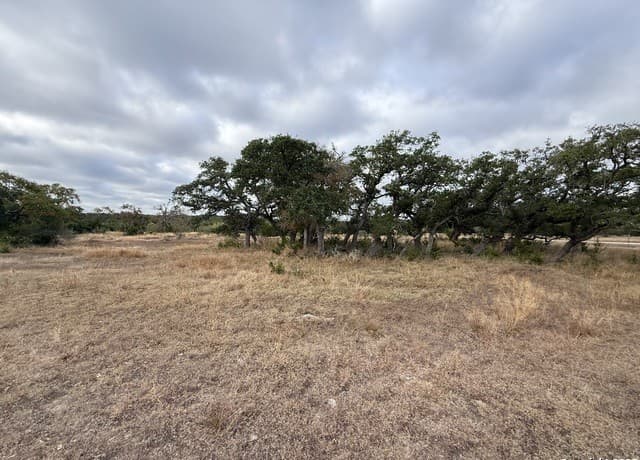1629  Canyon, Spring Branch, TX 78070 — photo 8