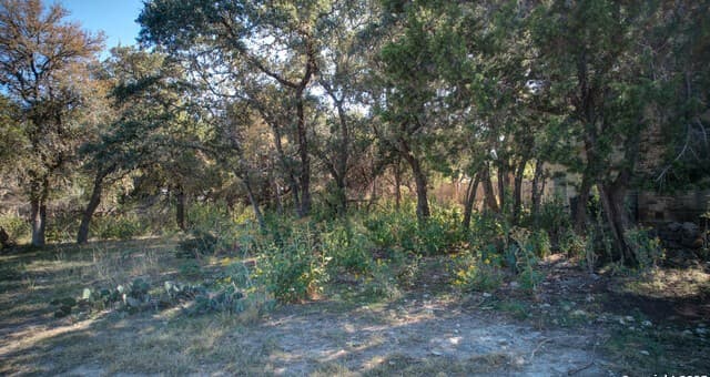 1042  Janet