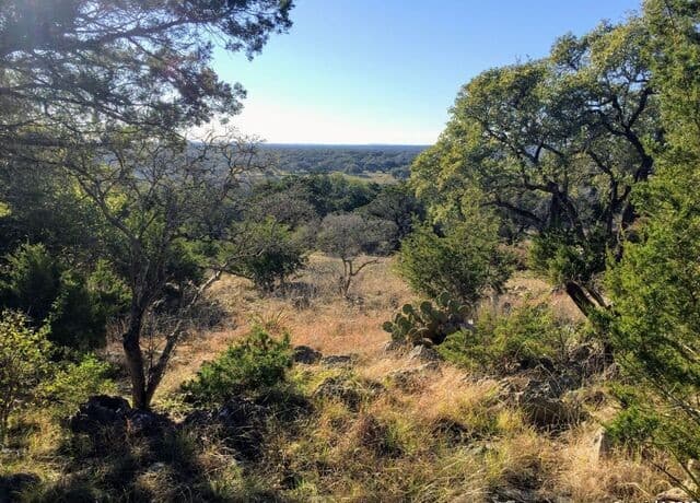 447  Coyote Trail