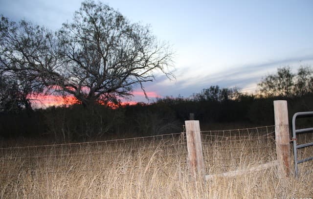 0000 County Road 339