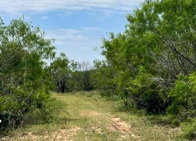 0000  CR 327 Lot 8, Jourdanton, TX 78026 — photo 2