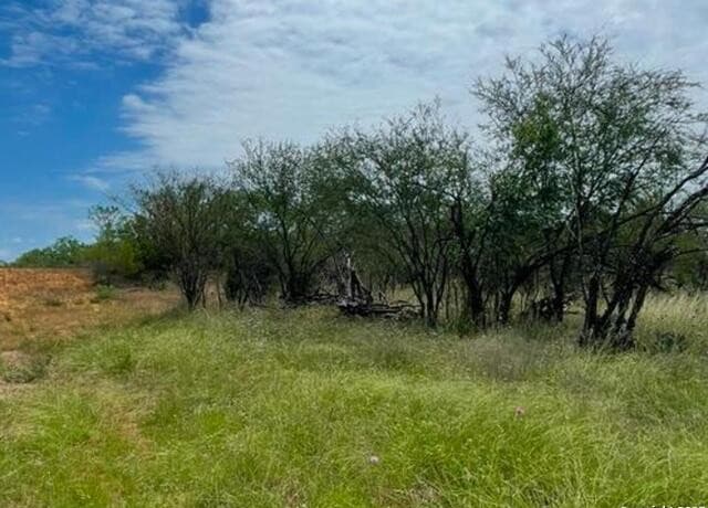 0000  CR 327 Lot 8, Jourdanton, TX 78026 — photo 3