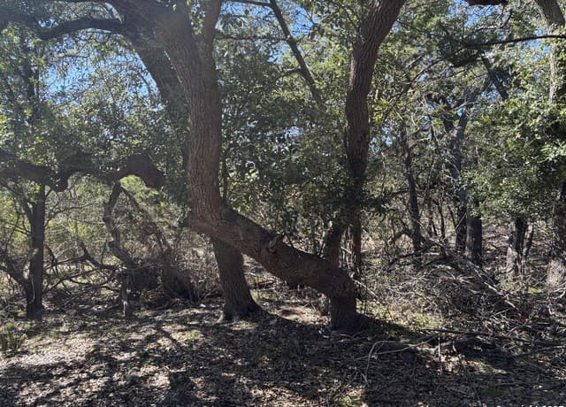 LOT 85  Headwaters Ranch Road, Kendalia, TX 78027 — photo 6
