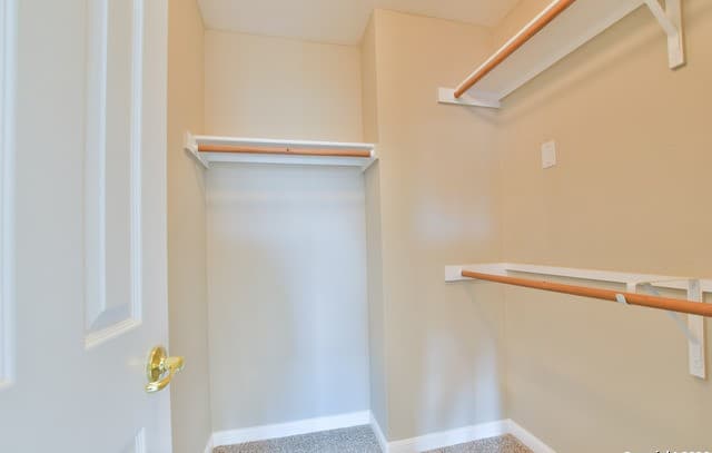 5534  Christina Path, San Antonio, TX 78247 — photo 17