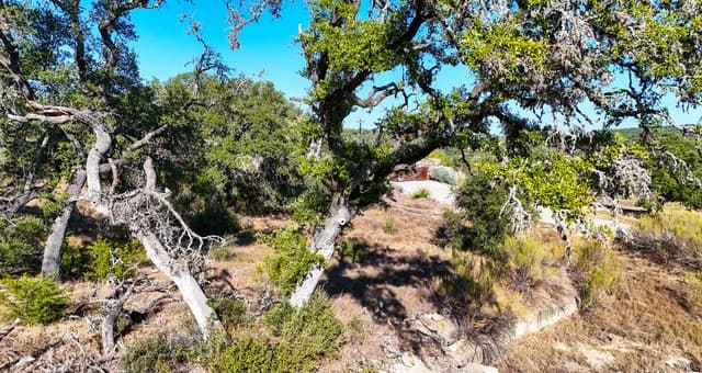 3010  Campestres, Spring Branch, TX 78070 — photo 10