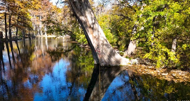 3010  Campestres, Spring Branch, TX 78070 — photo 2