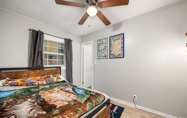 425  Dreamland, Canyon Lake, TX 78133 — photo 13
