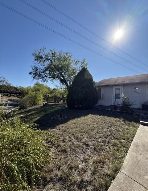 736  Fulton, San Antonio, TX 78212 — photo 3