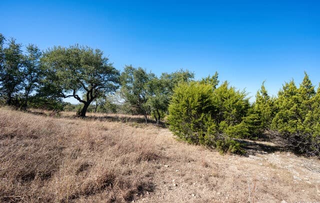 11  Wynstone, Boerne, TX 78006 — photo 10