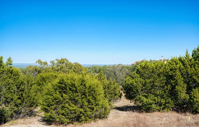 11  Wynstone, Boerne, TX 78006 — photo 2