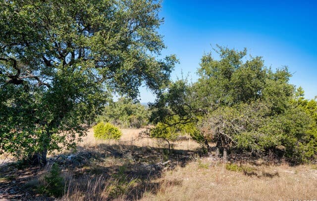 11  Wynstone, Boerne, TX 78006 — photo 5