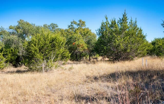 11  Wynstone, Boerne, TX 78006 — photo 7