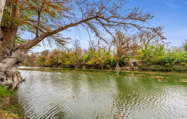 1244  Whispering Water, Spring Branch, TX 78070 — photo 15