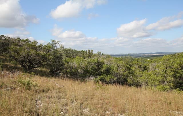 29035  Verde Mountain Trail, San Antonio, TX 78261 — photo 5
