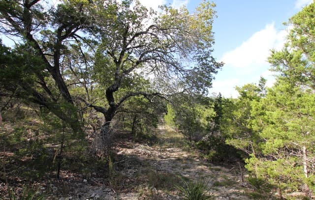 29035  Verde Mountain Trail, San Antonio, TX 78261 — photo 8