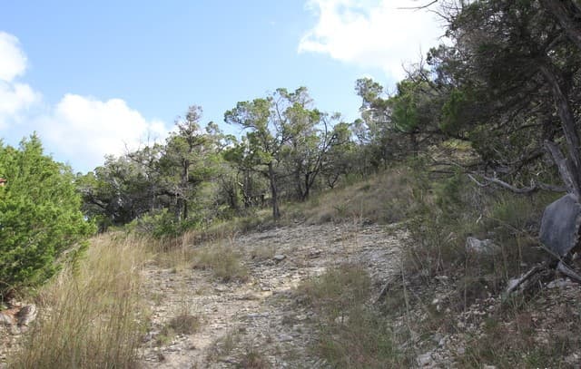 29035  Verde Mountain Trail, San Antonio, TX 78261 — photo 9