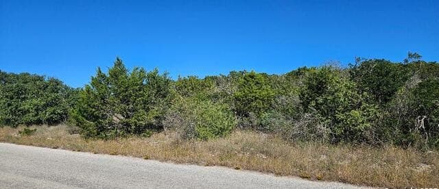 CR 2801 E  Lot 202, Mico, TX 78056 — photo 10
