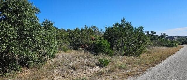 CR 2801 E  Lot 202, Mico, TX 78056 — photo 4
