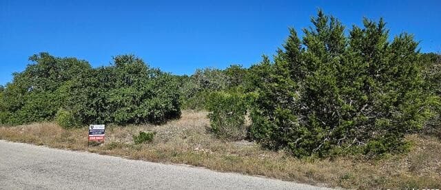 CR 2801 E  Lot 202, Mico, TX 78056 — photo 5