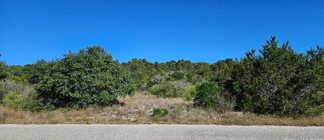 CR 2801 E  Lot 202, Mico, TX 78056 — photo 6